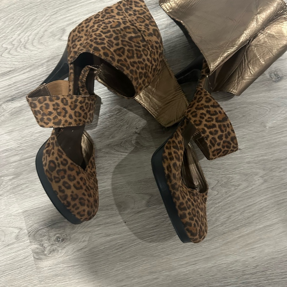 Leopard platform - Picture 4 of 5